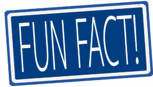 Some text that says Fun Facts